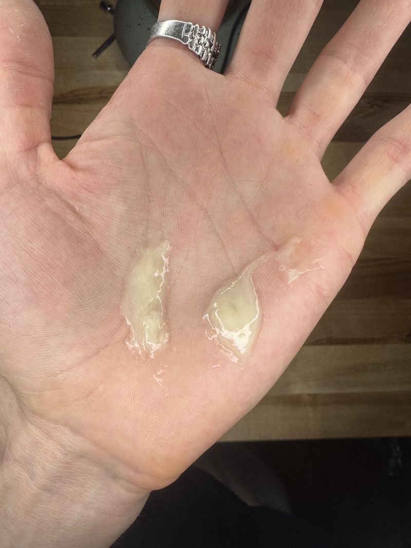 Biofilm chunks — translucent, rubbery sheets